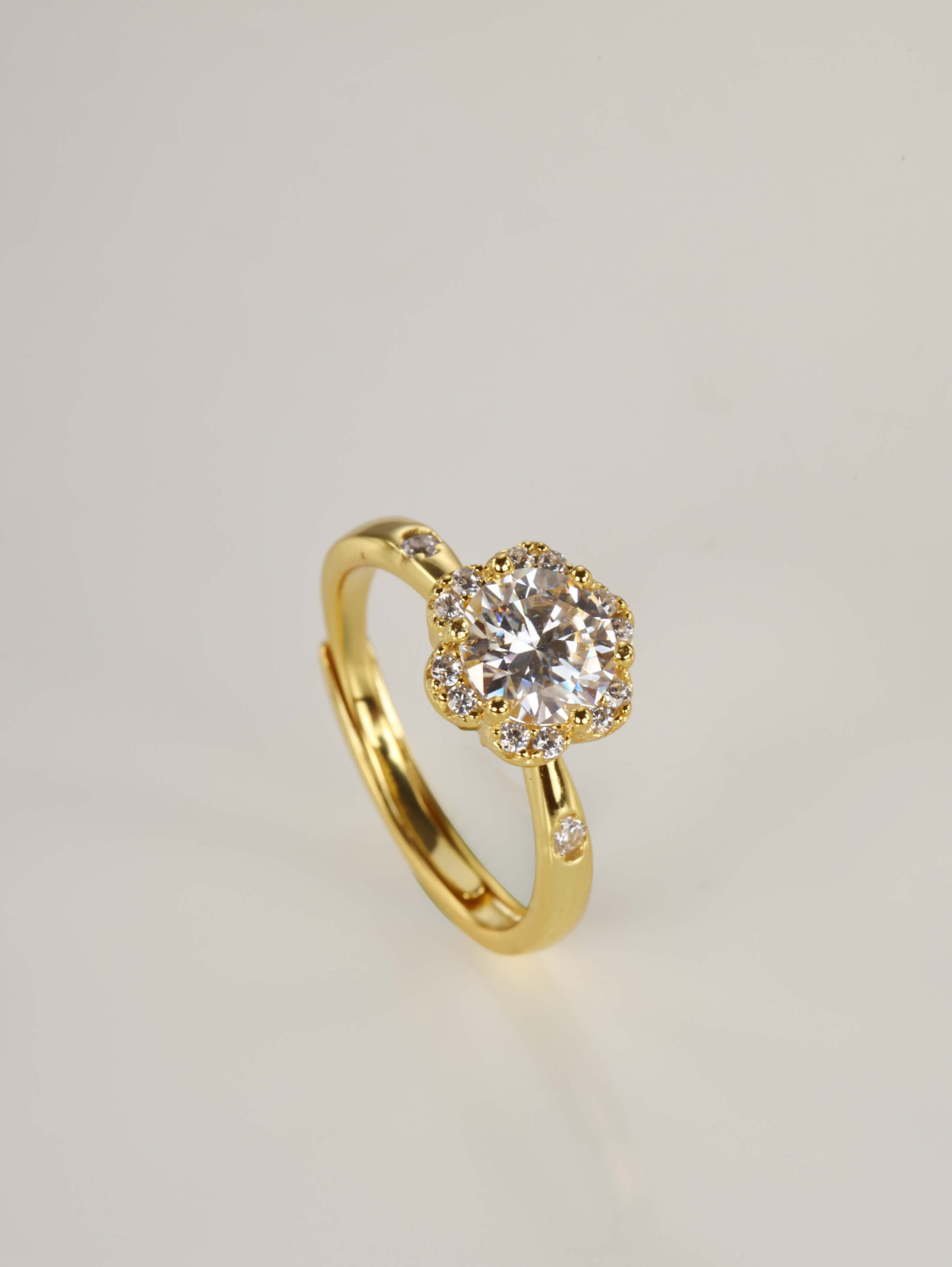 The romantic 1-carat floral halo ring displayed beautifully next to its signature luxury gift box and protective microfibre pouch.